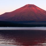 山中湖の赤富士の写真 「晩夏の愁色」