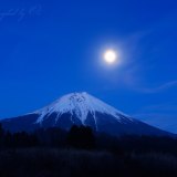 朝霧高原のパール富士の写真 「草原の妖精」