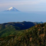 国師ヶ岳から見た富士山の写真 「稜線の先に」