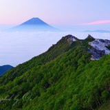 観音岳(鳳凰三山)から新緑と富士山の写真 「上天の色彩」