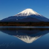 精進湖の月光逆さ富士の写真 「月下優美」