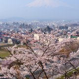 富士見孝徳公園の桜と富士山の写真 「この町の春」