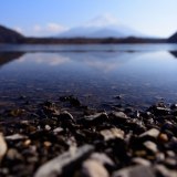 精進湖の逆さ富士の写真 「石ころ」