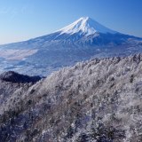 三つ峠の樹氷と富士山の写真 「青空の煌き」